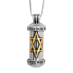 Pendant Mezuzah w/ Prayer Ana Be-Koah & Gold 9K Star of David Sterling Silver