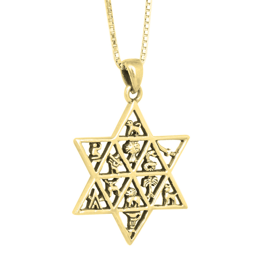 Pendant Star of David 12 tribes of Israel Sterling Silver Necklace HandMade 1.3"