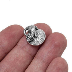 Amulet of Wealth Wallet Rat on a Coin