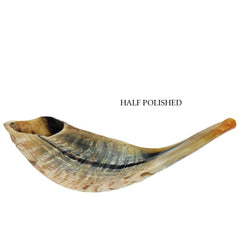 Natural Kosher Jewish Shofar Ram Horn