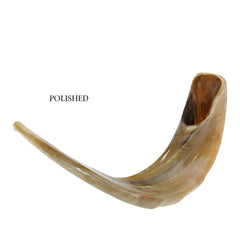 Kosher Shofar Ram Horn