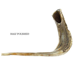 Shofar Ram Horn