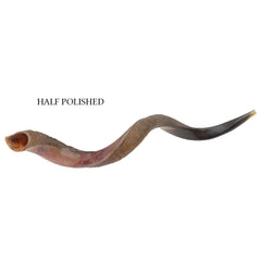 Yemenite Shofar