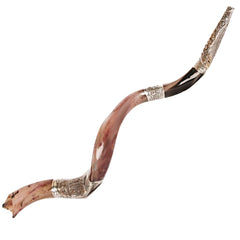 Natural Kosher Yemenite Shofar Kudu Horn Silver Plated 40.5-44"(100-109 cm)