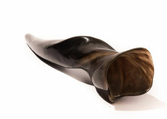 Rare Eland Shofar – Kosher, Large Size (40–50 cm) - Authentic Ceremonial Jewish Horn