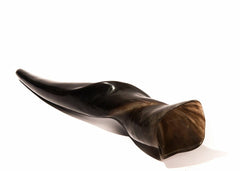 Rare Eland Shofar – Kosher, Large Size (40–50 cm) - Authentic Ceremonial Jewish Horn