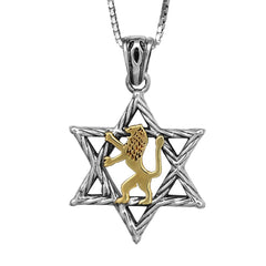 Pendant Star of David w/ Jerusalem Lion of Judah Sterling Silver & Gold 9K
