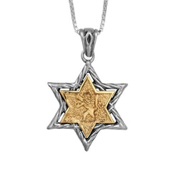 Pendant Lion of Judah Tribe of Judah Sterling Silver & Gold Plated 9K Jerusalem