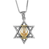 Image of Pendant Star of David w/ Kinnor David's Harp Sterling Silver & Gold 9K Necklace
