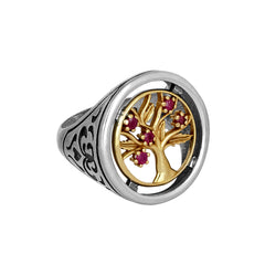 Kabbalah Signet Ring w/The Tree of Life Sterling Silver & Gold 9K All Sizes 6-13