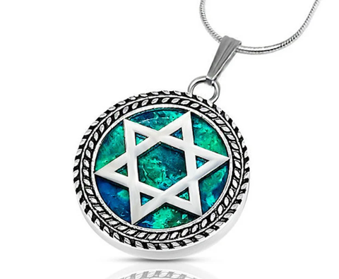 Handmade Eilat Stone Sterling Silver Star of David Olive Branch Pendant w/ Chain