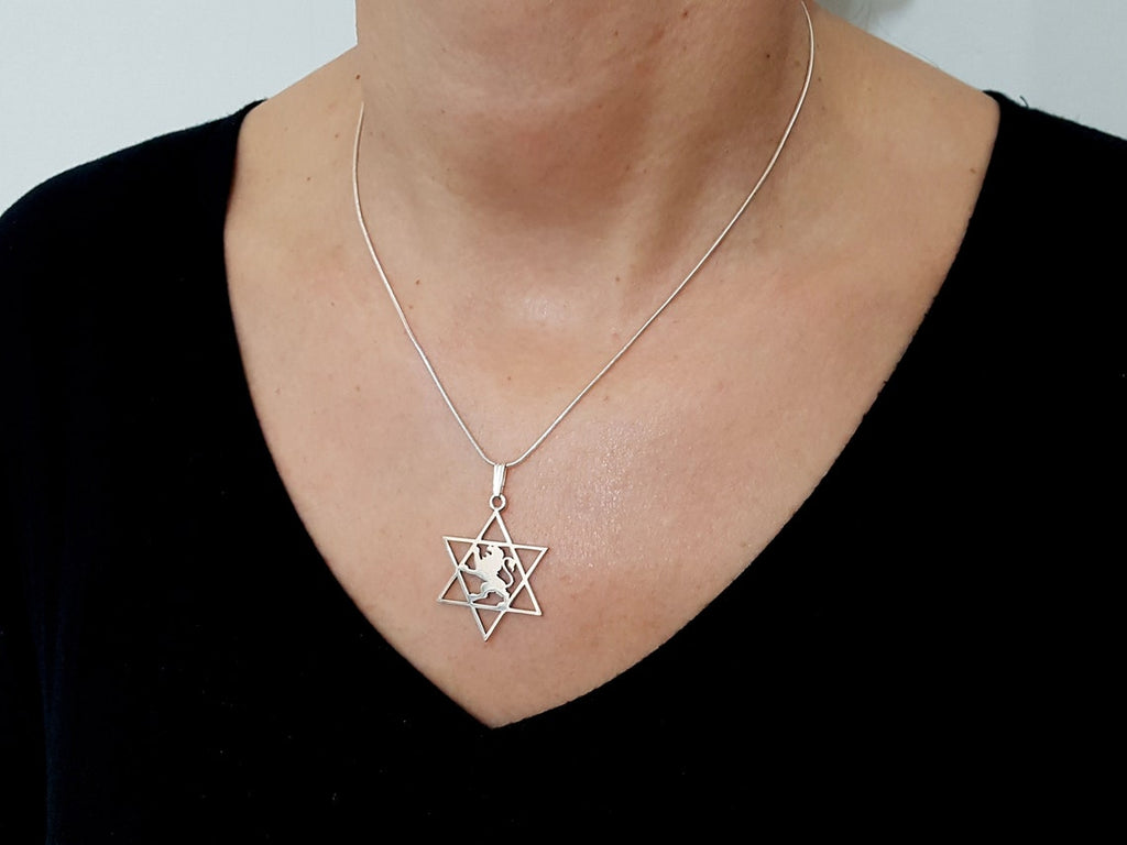 Handmade 925 Sterling Silver Star of David Lion of Judah Amulet Pendant w/Chain-1