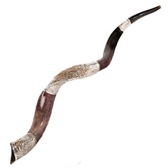 Yemenite shofar kudu horn silver plated