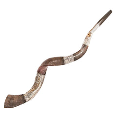 Yemenite Shofar