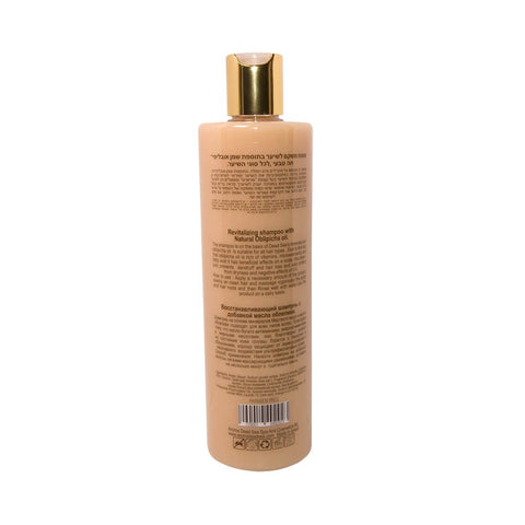 Intensive Shampoo Oblipicha Oil Beauty Life Dead Sea Minerals 13,53 fl.oz (400 ml)