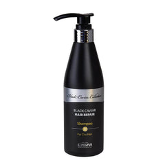 Hair Repair Shampoo for Dry Hair with Black Caviar DSM Mon Platin 13,52 fl.oz (400 ml)