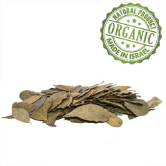 Organic Laurel Dried Whole Bay Leaf Premium Quality Dried Leaves Kosher Israel 100-1900  gr