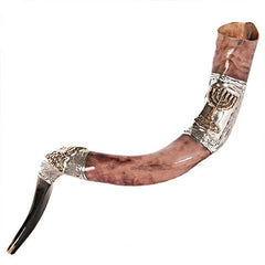 Natural Kosher Silver Plated Yemenite Shofar Kudu Horn 23.5-27