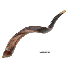 Natural Kosher Polished Yemenite Shofar Kudu Horn 19.5 - 23"(50-59 cm) Israel