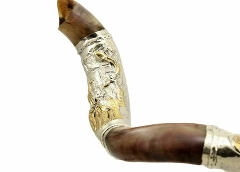 Silver Plated Kudu Yemenite Kosher Shofar Blowing The 122cm-127cm Israel-5
