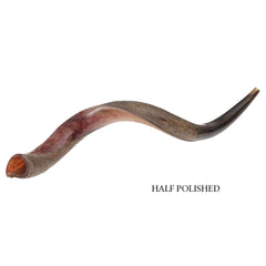 Shofar Kudu Horn