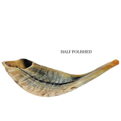 Half Polished Natural Kosher Jewish Shofar Ram Horn 11 - 13