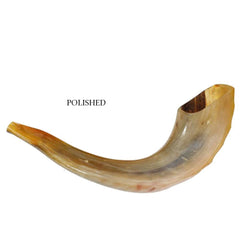 Kosher Shofar Ram Horn