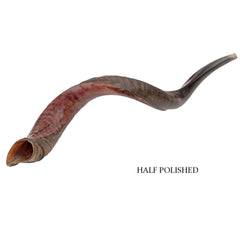 Shofar Kudu Horn