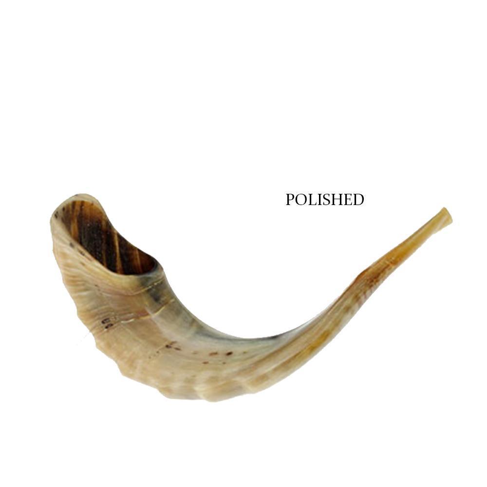 Natural Kosher Jewish Polished Shofar Ram Horn