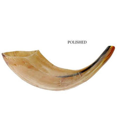 Kosher Shofar Ram Horn