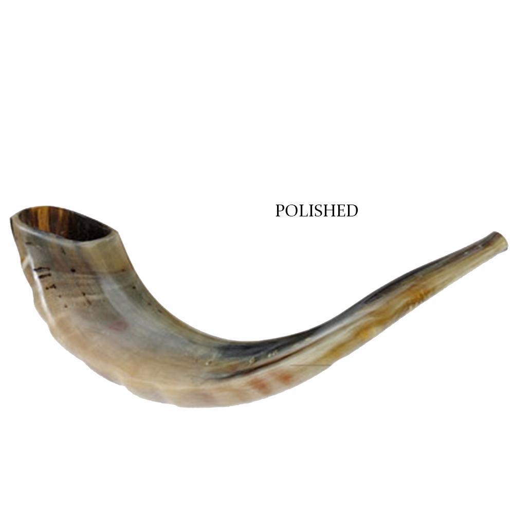 Kosher Shofar Ram Horn