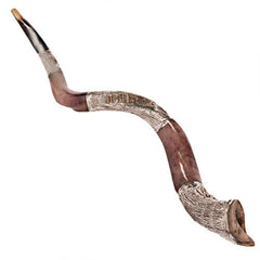 Yemenite Shofar