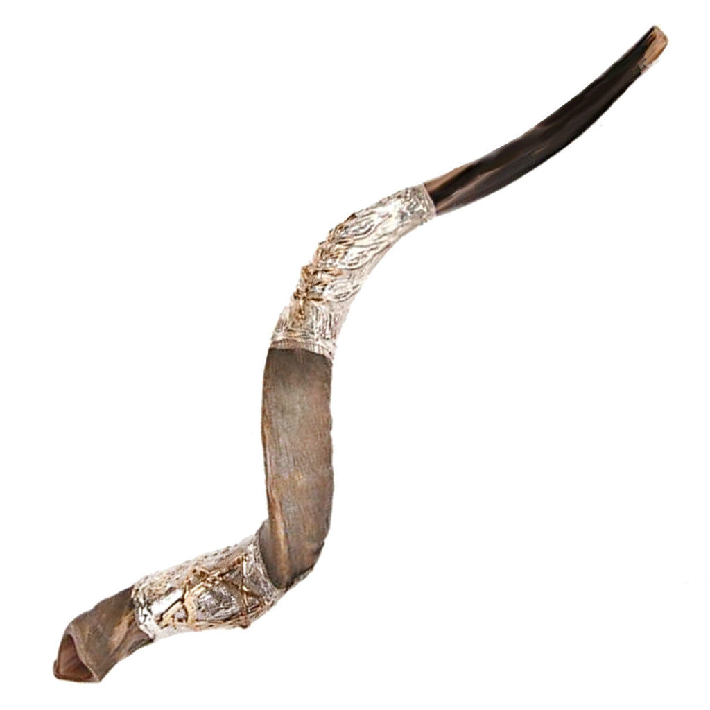 kosher shofar kudu horn
