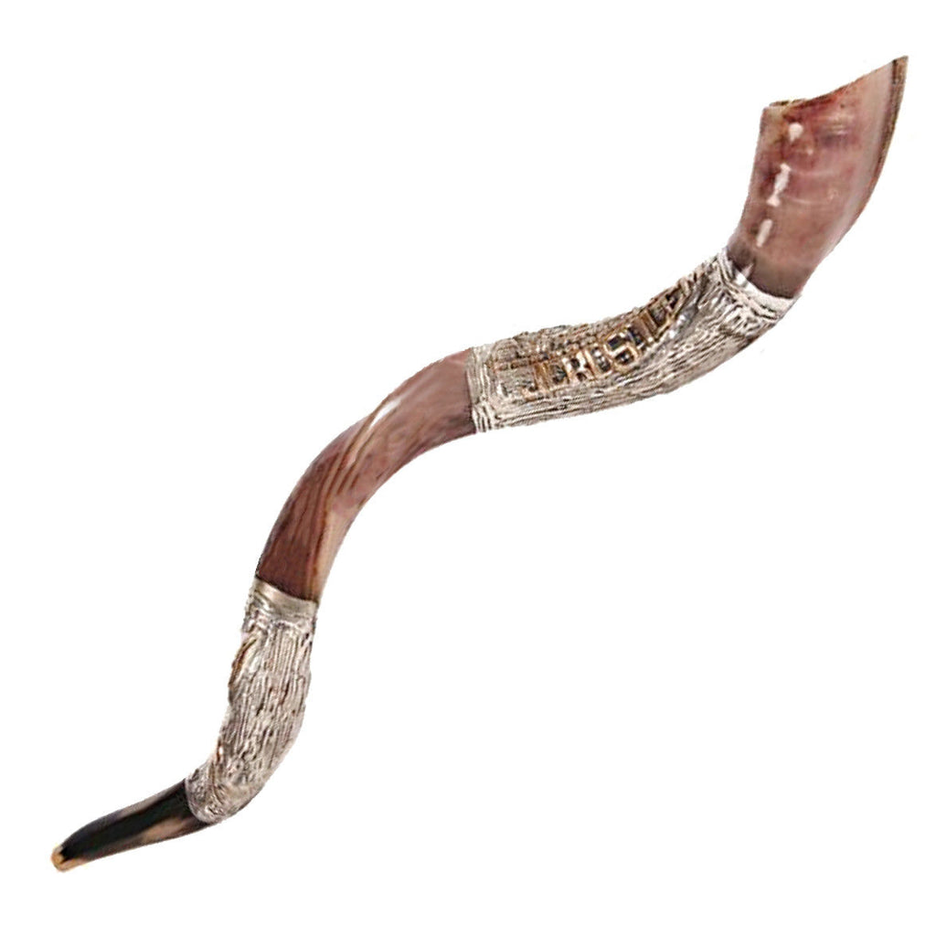 silver plated shofar