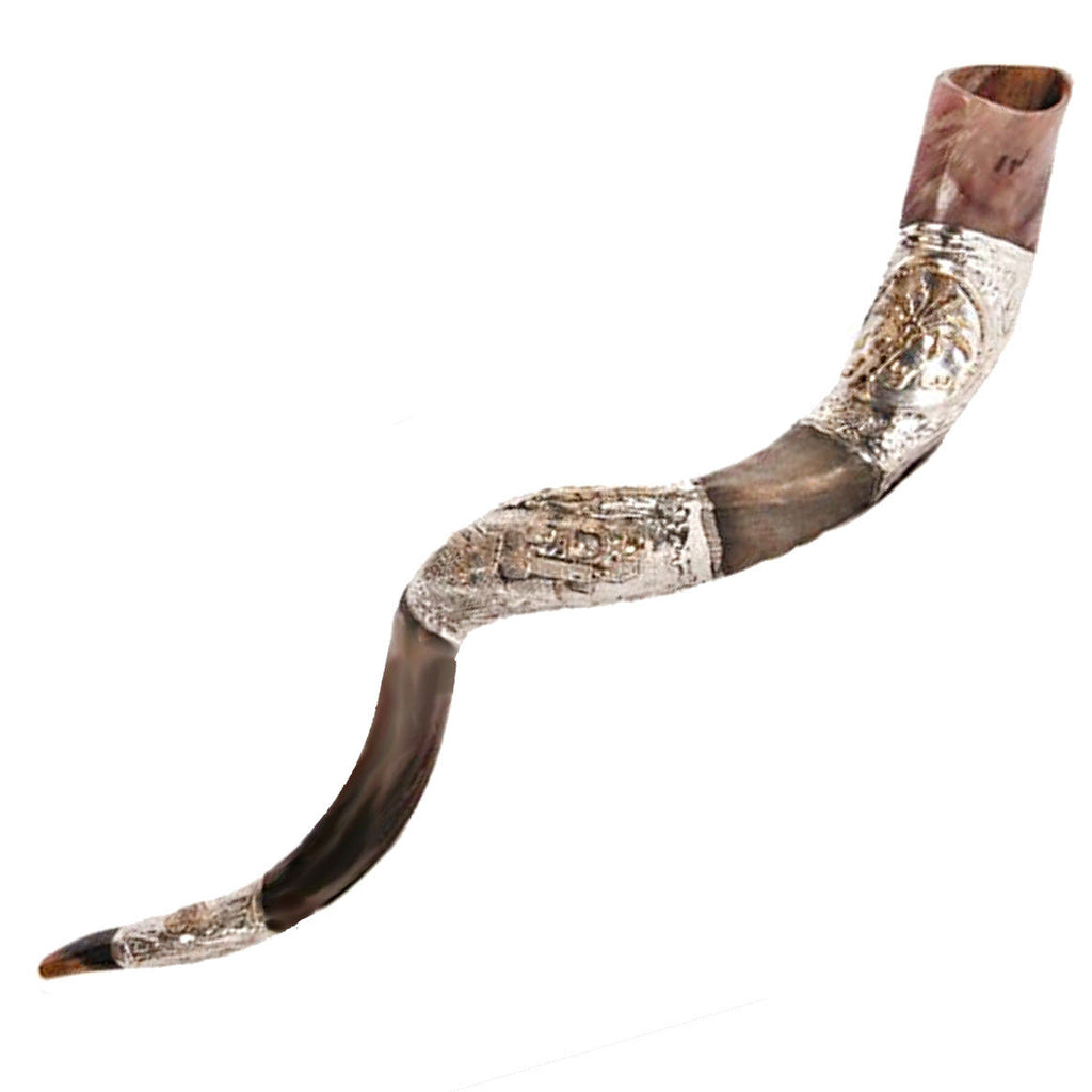 Natural Kosher Silver Plated Yemenite Shofar Kudu Horn 35.5 - 40"(90-99 cm)