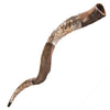 Image of Shofar Silver Plated