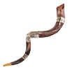Image of silver plated shofar